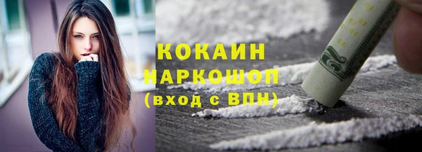 прущий лед Новозыбков