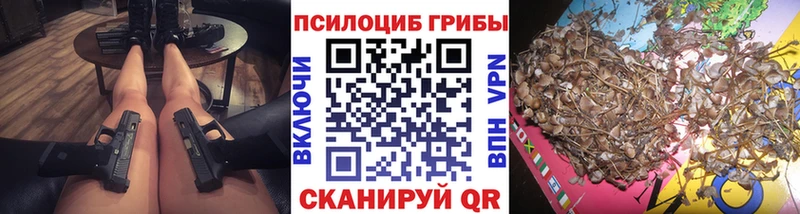 Псилоцибиновые грибы GOLDEN TEACHER  Стародуб 