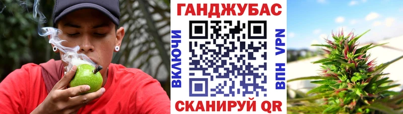 Канабис ГИДРОПОН  Стародуб 